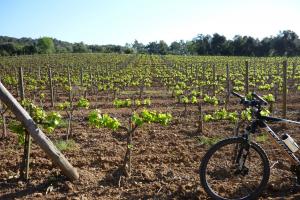 GUIADO >> CATALUNHA >> COSTA BRAVA E EMPORDÀ>> 7 NOITES