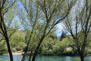 GUIADO >> PEDAL DA PATAGONIA >> SETE LAGOS >> 6 NOITES