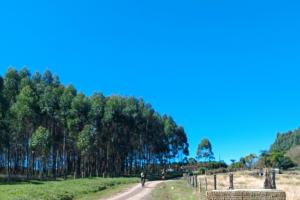 GUIADO >> MOUNTAIN BIKE TOUR >> VALE EUROPEU