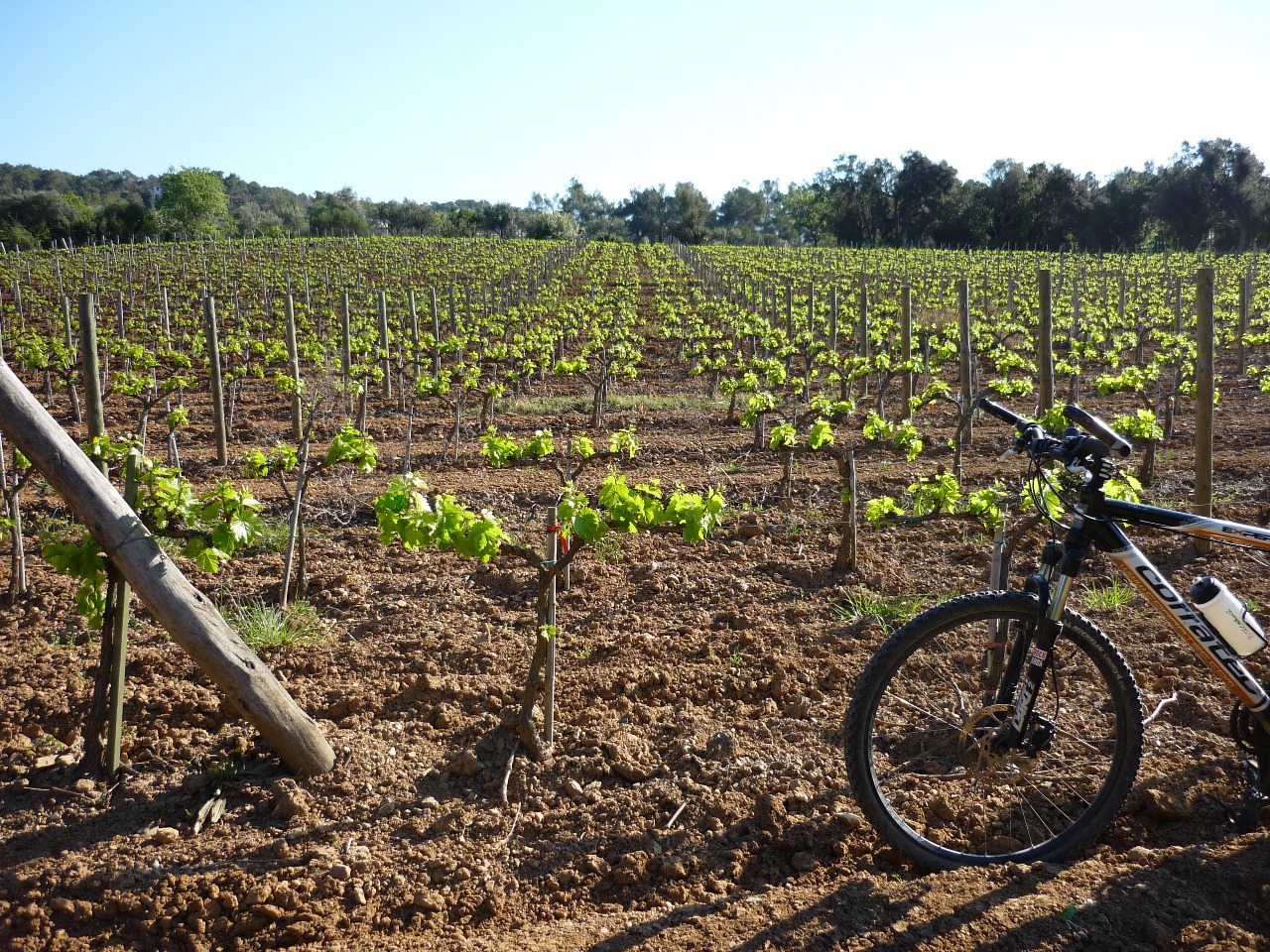 GUIADO >> CATALUNHA >> COSTA BRAVA E EMPORDÀ>> 7 NOITES