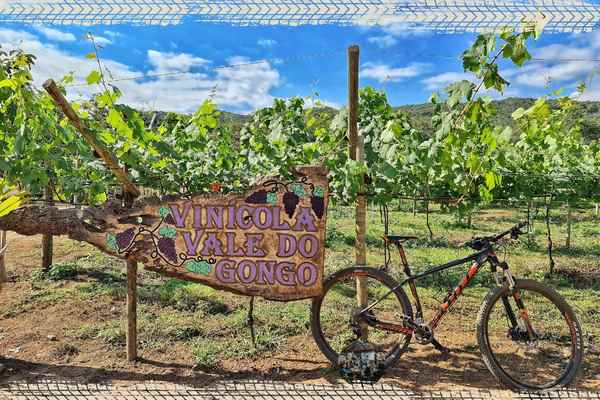 Bike, vinho e cachoeira. Entenda a proposta do novo destino de turismo de natureza do Brasil, Grão Mogol