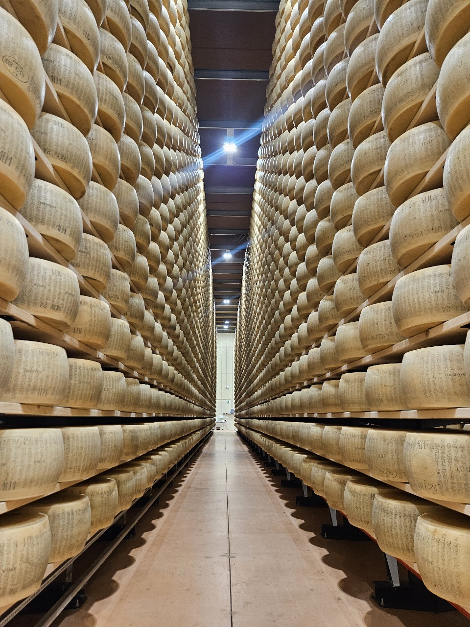 GUIADO >> EMILIA-ROMANHA >> ITALIA >>7 NOITES