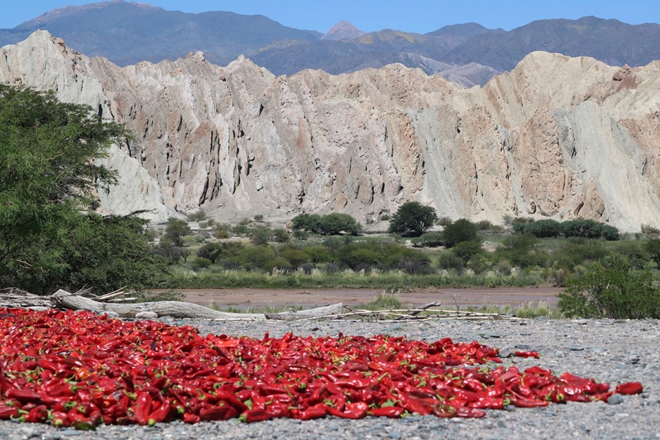 GUIADO>>SALTA Y JUJUY PELA ROTA DOS VINHOS >>7 NOITES