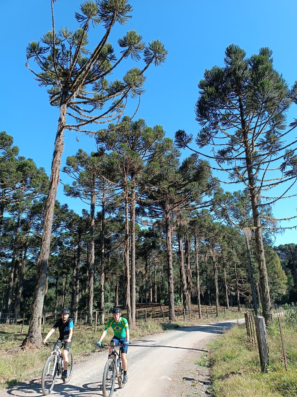 GUIADO >> MOUNTAIN BIKE TOUR >> VALE EUROPEU