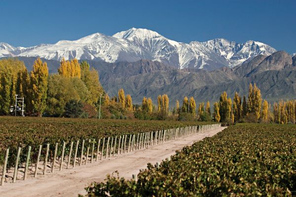 GUIADO >> MENDOZA BIKE & WINE >> BIKE TOUR >> 5 NOITES