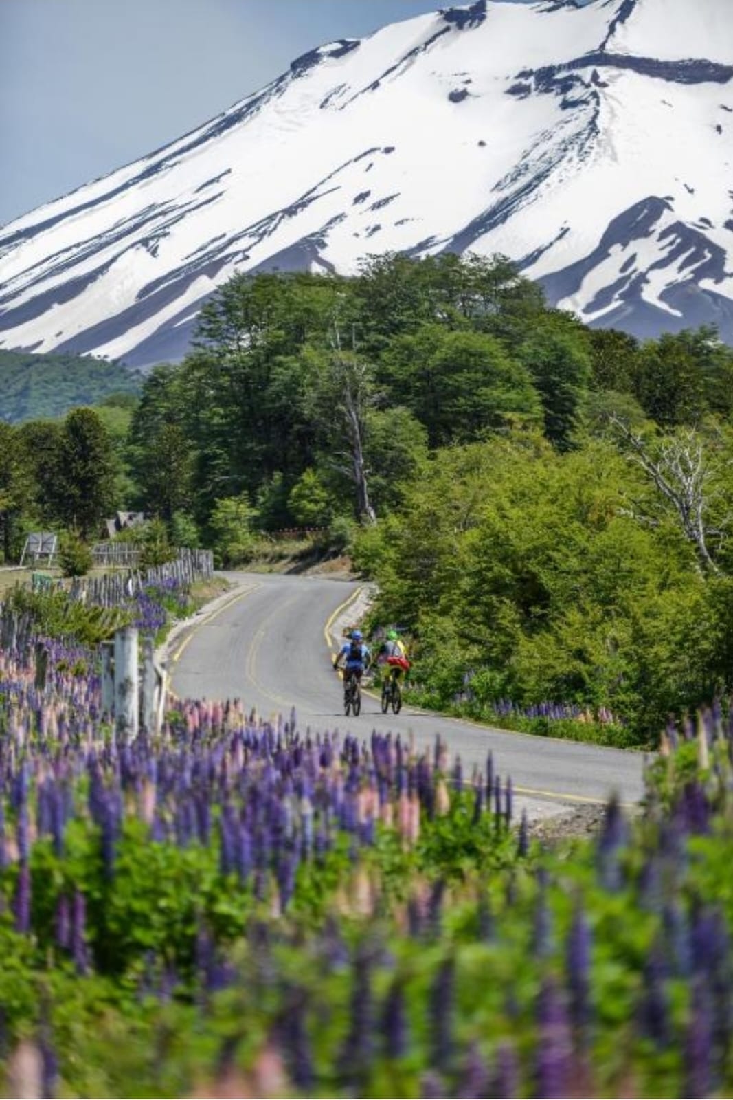 GUIADO>>PEDAL DA PATAGÔNIA>> VULCÕES DO CHILE >> REVEILLON 2026