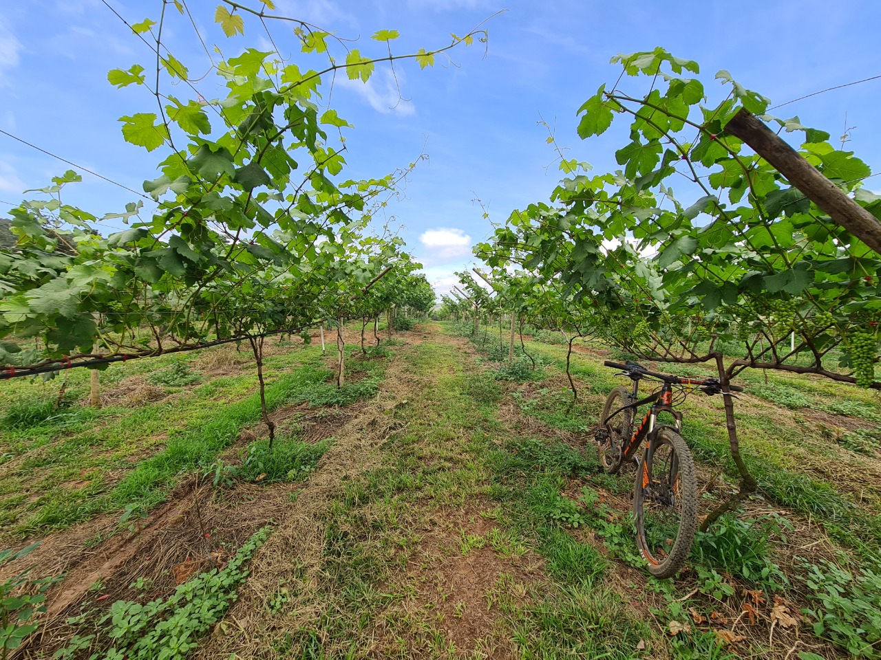 GUIADO>> CORDILHEIRA DO ESPINHAÇO >> GRÃO MOGOL >> 4 NOITES
